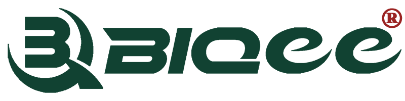 BIQEE: Embodied AI for Smart Welding